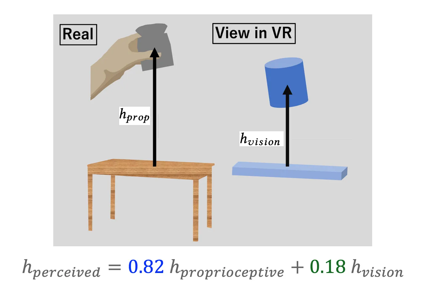 (Figure from Shimamura et al., 2024, licensed under CC BY 4.0)