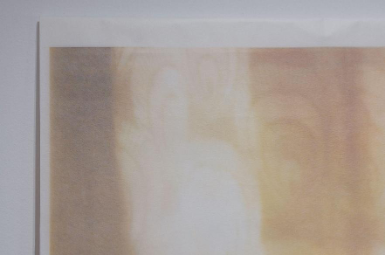 圖1 傅聖雅，〈六點的羽毛〉，薄纖紙、ps版、壓克力架， 116x62 cm，2024。（左）為作品左上角，當紙張貼合時，原本窗簾圖樣會顯現。